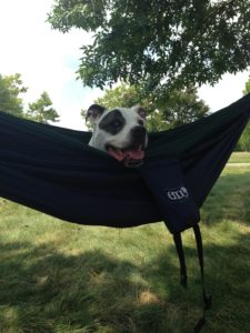 eno doublenest dog and girl